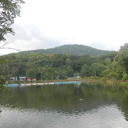 Zamaraya Bed & Breakfast Angamaly Bagian luar foto