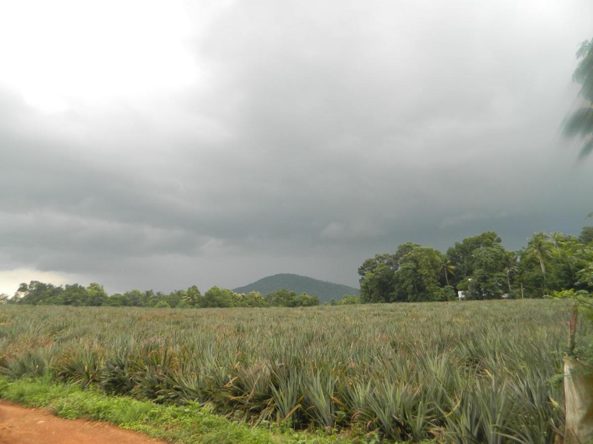 Zamaraya Bed & Breakfast Angamaly Bagian luar foto