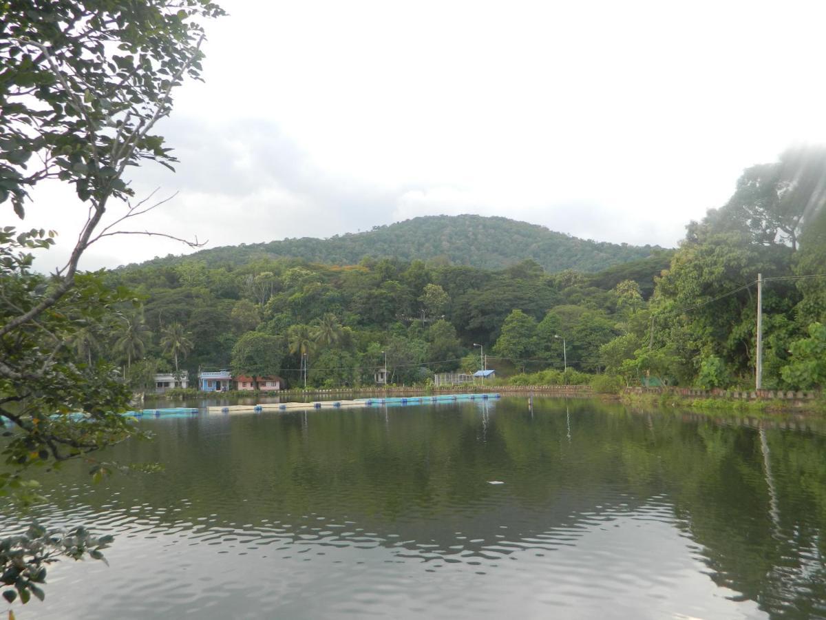 Zamaraya Bed & Breakfast Angamaly Bagian luar foto